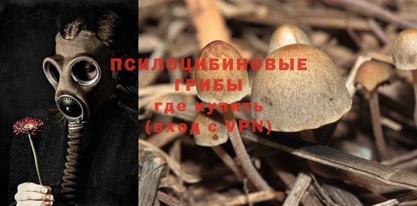 тгк Армянск