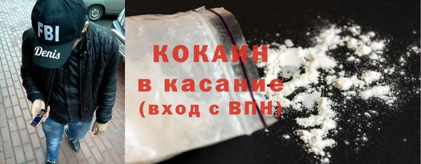 прущие грибы Грязи